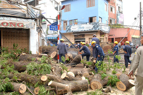 Bao ho lao dong Quang Trung