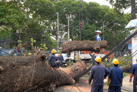 Bao ho lao dong Quang Trung