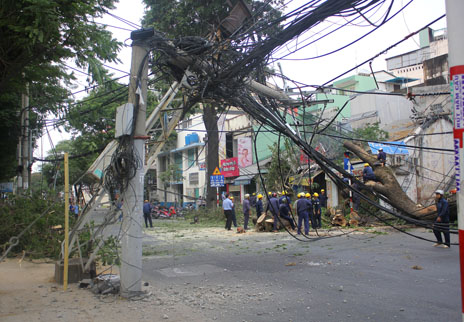 Bao ho lao dong Quang Trung