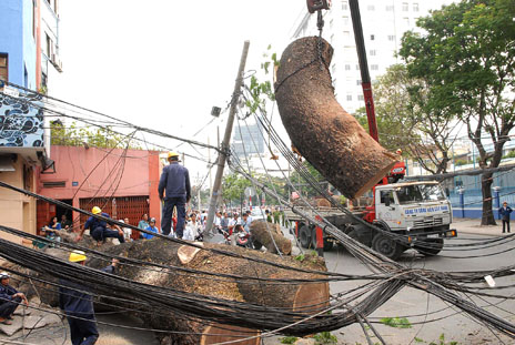 Bao ho lao dong Quang Trung